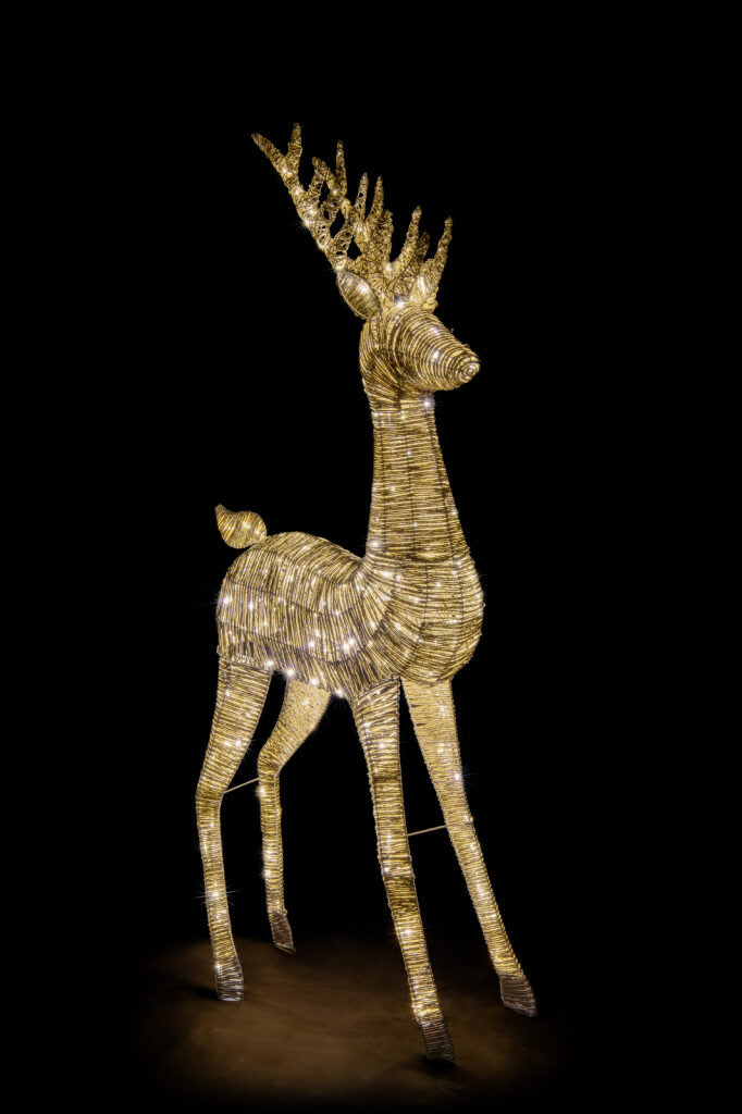 In & Outdoor / Gold reindeer (Gross)
