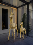 In & Outdoor / Gold reindeer (Klein)